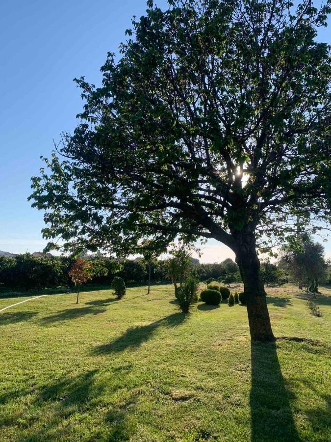 Lux Sereno Village Ulcinj Bagian luar foto